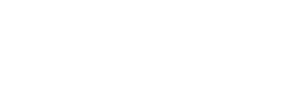 Cebra Forestal